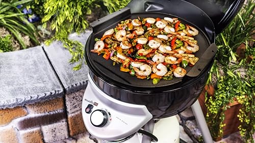 char-broil-140-572-piastra-in-ghisa-per-grill-patio-bistro-240 image 5