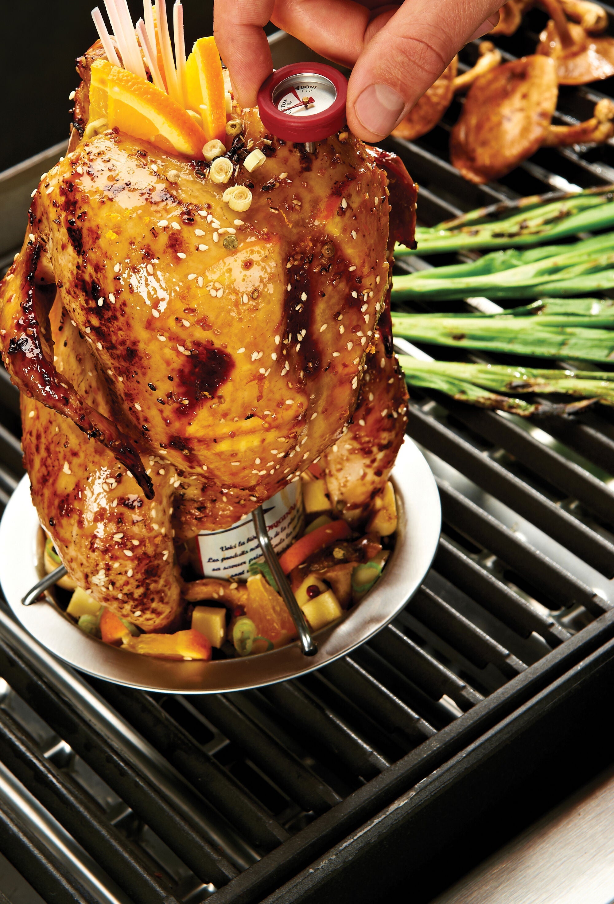 broil-king-chicken-roaster-supporto-per-pollo-alla-birra-in-acciaio-inox-con-teg image 3