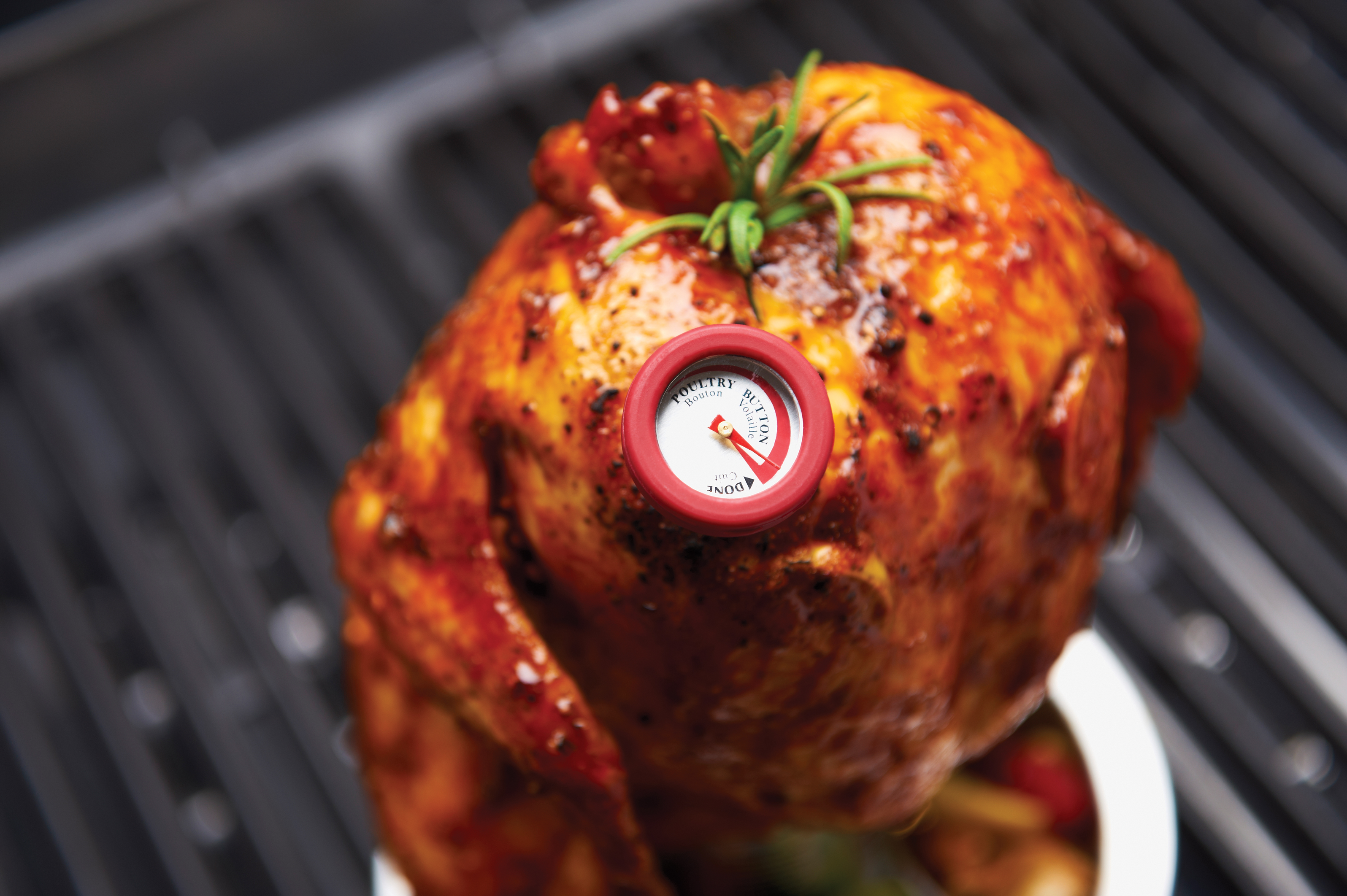 broil-king-mini-thermometers-set-4-termometri-da-carne-per-bistecche-e-pollame image 2